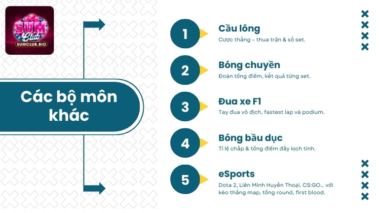 Các bộ môn khác