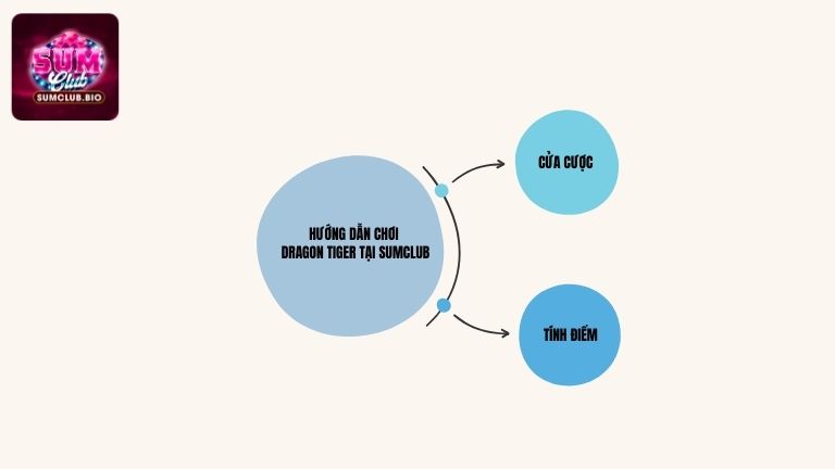 Hướng dẫn chơi Dragon Tiger tại SumClub